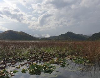 Meer van Skadar