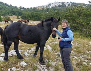 wilde paarden in het Velebit gebergte met kinderen