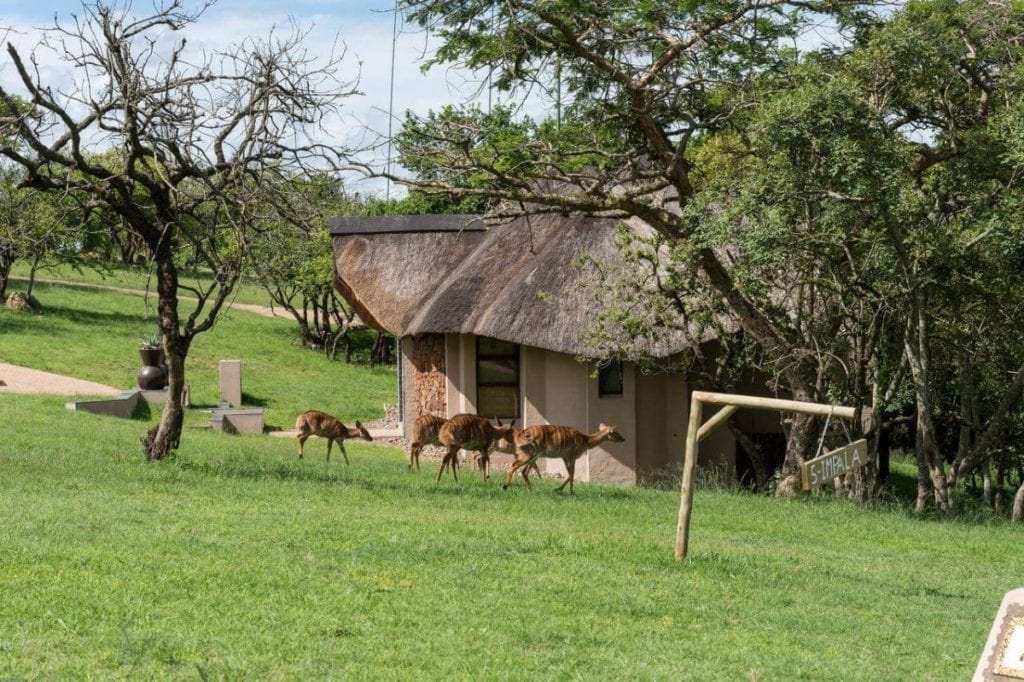 sfeerbeelden van de lodge