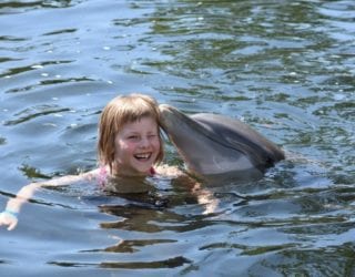 Zwemmen met dolfijnen in Florida