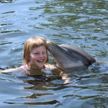 Zwemmen met dolfijnen in Florida