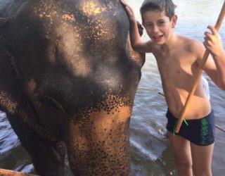 Beleef een onvergetelijke dag tussen de olifanten met kinderen