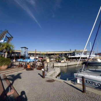 oesterboot: proef lekkere oesters in Knysna