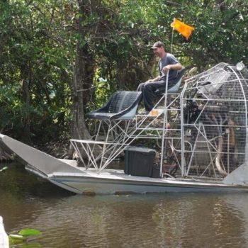 Zoeven over moerassen in de Everglades