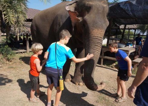 ontmoeting met de olifanten