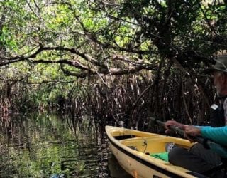 Met de kajak tussen de alligators van de Everglades