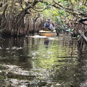 Met de kajak tussen de alligators van de Everglades