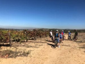 Fietsen in Stellenbosch