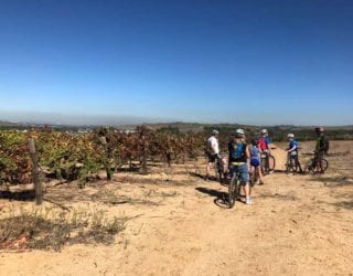 Fietsen in Stellenbosch