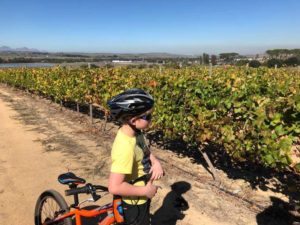 Wijn en druivensapjes proeven in Stellenbosch