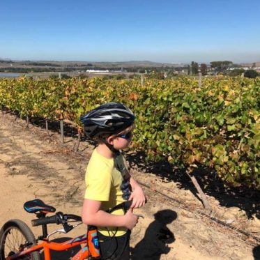 Wijn en druivensapjes proeven in Stellenbosch