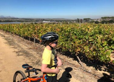 Wijn en druivensapjes proeven in Stellenbosch