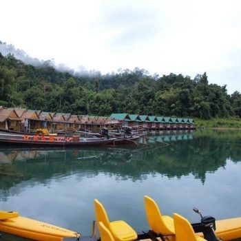 Op nachtsafari door de jungle van Khao Sok