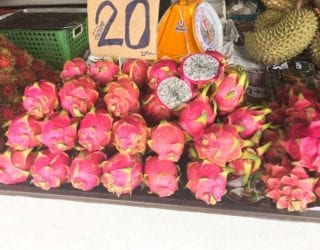 dragonfruit in Chiang Mai