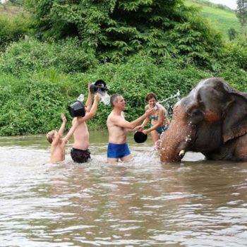 olifanten wassen met kinderen