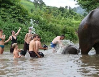 olifanten wassen met kinderen