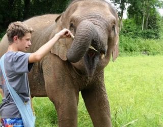olifanten wassen met kinderen