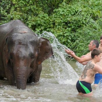 olifanten wassen met kinderen