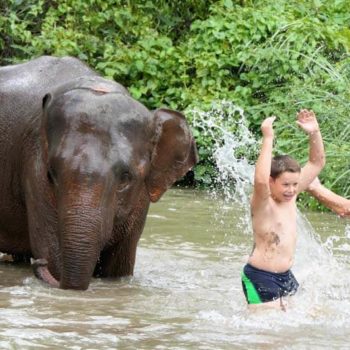 de olifanten in Chiang Mai met kinderen