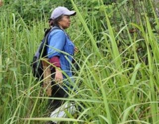 Khao Yai park met kinderen