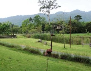 Khao Yai hotel: tuin