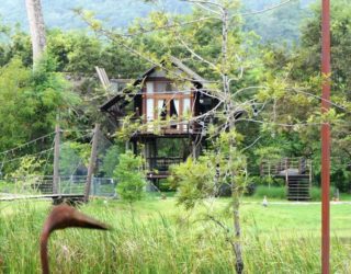 Khao Yai hotel: tuin