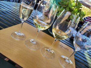 Wijn proeven in Stellenbosch