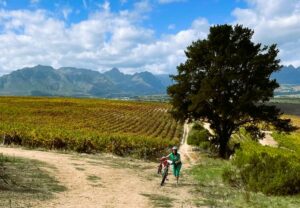 Met de fiets in Stellenbosch