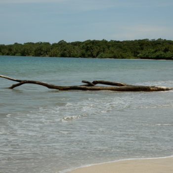 Cahuita, Caraïbische strand bezoeken met kinderen