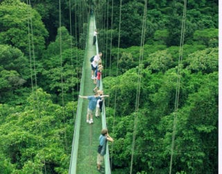 HangingBridgesMonteverde