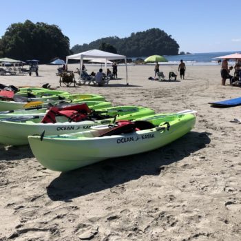 San Manuel Antonio strand