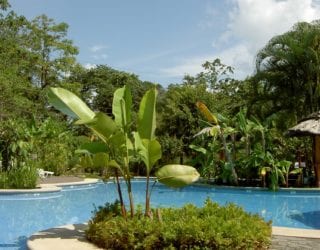 Tortuguero hotel: zwembad