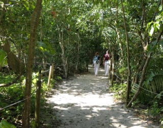  Manuel Antonio National Park