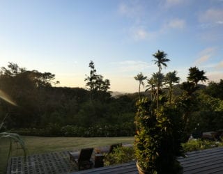 Monteverde hotel: tuin