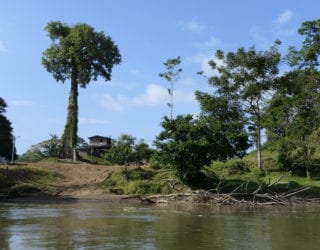 boottocht langs de rivier met kinderen