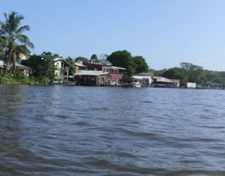 Tortuguero