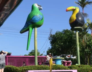 Tortuguero