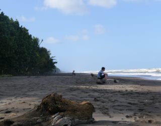 Tortuguero strand