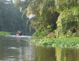 Door de kanalen varen in Tortuguero