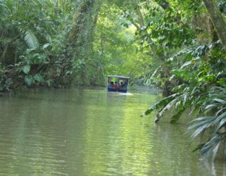 Door de kanalen varen in Tortuguero