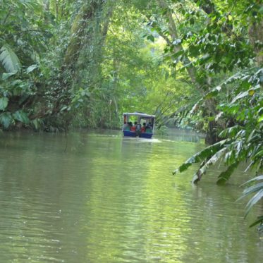 Door de kanalen varen in Tortuguero