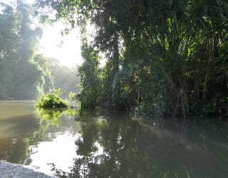 Door de kanalen varen in Tortuguero