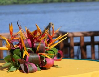 Tortuguero hotel: terras