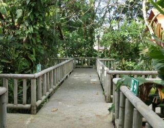 Tortuguero hotel