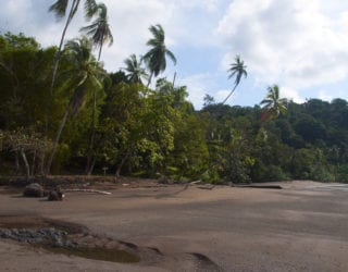 Drake Bay hotel: strand