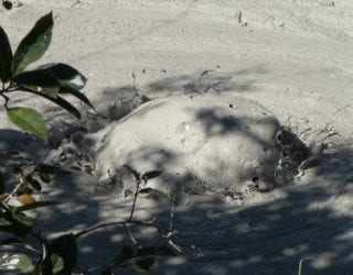 Rincón de la Vieja National Park