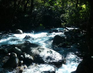 Rincón de la Vieja National Park