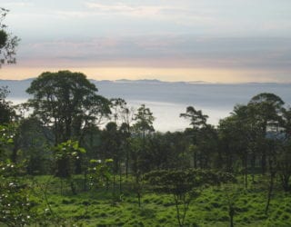 Tenorio National Park uitzicht