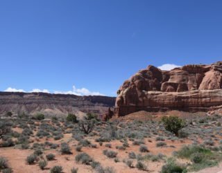 Arches National Park met kinderen