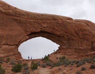 Arches in Arches National Park